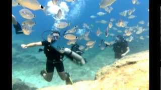 DIVING IN GREEN BAY AGIA NAPA WITH VIKING DIVERS LARNACA CYPRUS дайвинг в Айя-Напе