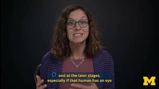 "Human in the Loop" Framework | Leveraging Generative AI for Social Impact Organizations Net Worth