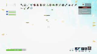 Crazy Risk of Rain 2 bug