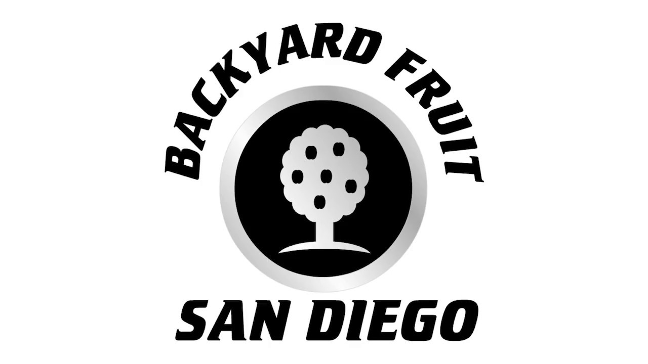 Cherry X Plum Hybrid. 'Candy Heart' Pluerry Ft. 'Sweet Treat' YouTube