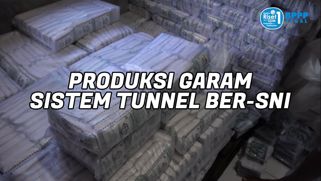 Produksi Garam Sistem Tunnel - BPPP Tegal