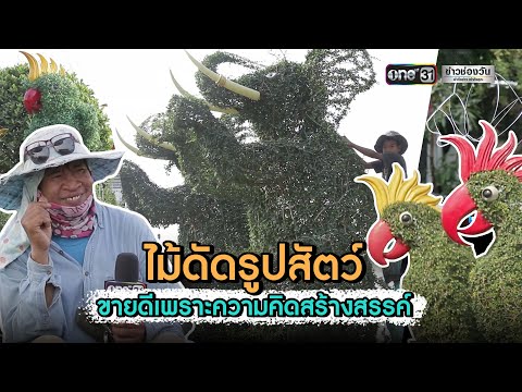 วีดีโอ: ปลูกต้นไม้ในอ่างนก: ใช้อ่างนกเป็นชาวไร่