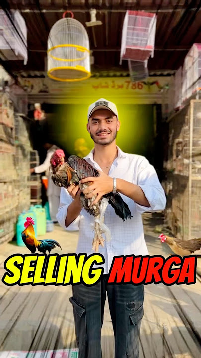 Selling Murga 😱              #haiderjanivlogs #minivlog #viralvideo