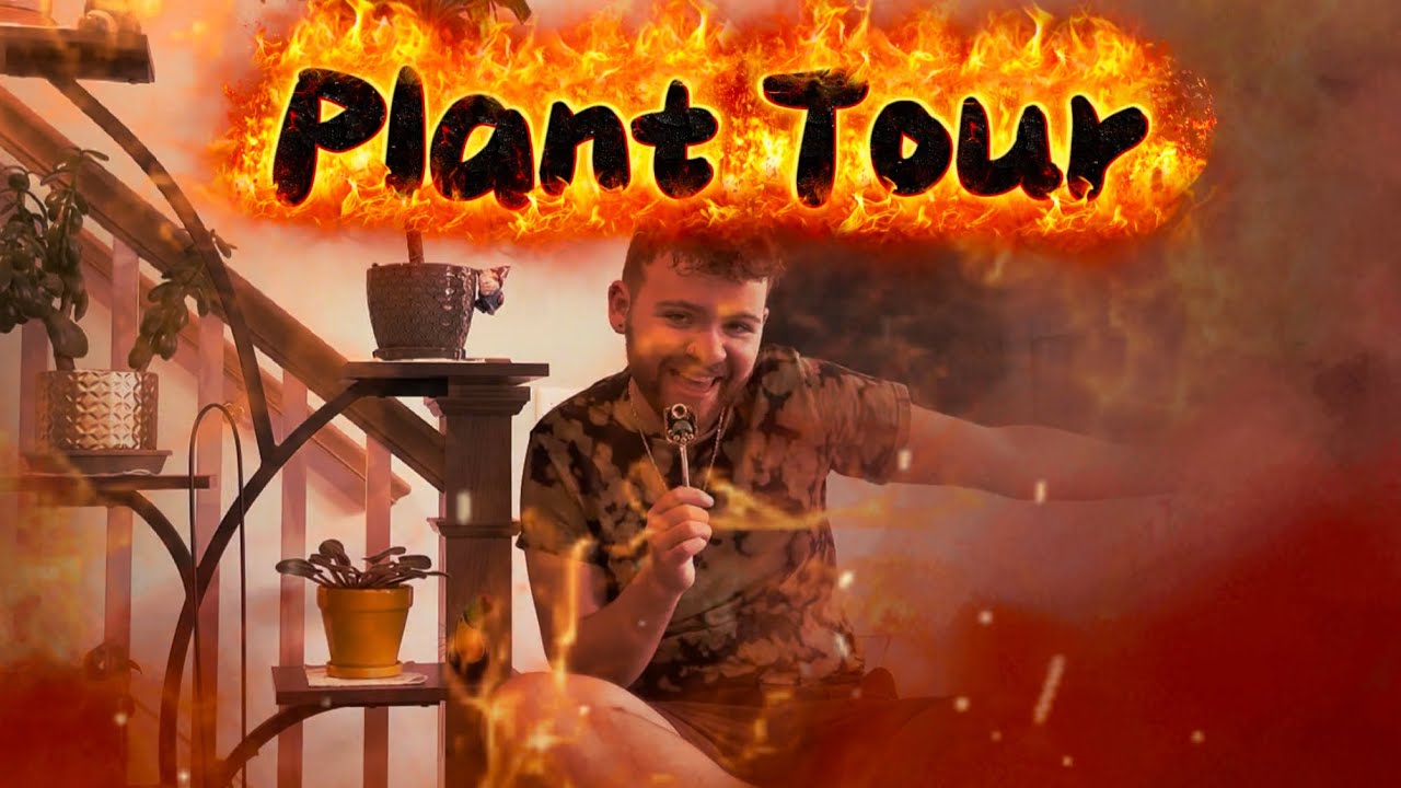 A Completely Normal Plant Tour
