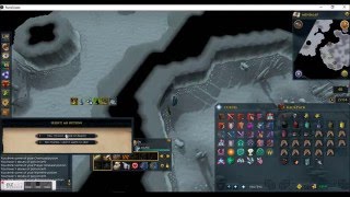 Living wyverns guide