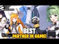 BEST PARTNER IN THE GAME?! Chaos Zero Nightmare