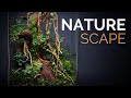 How to make a scaped nature terrarium