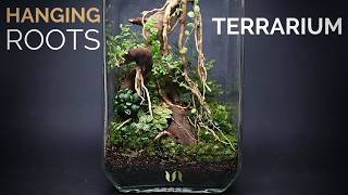 How to make a scaped nature terrarium