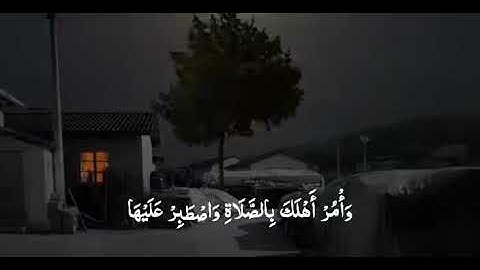 اواخر سوره طه بصوت القارئ عبد السلام العبيدي