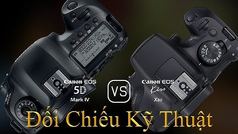 Đánh giá máy ảnh canon 3000d năm 2024