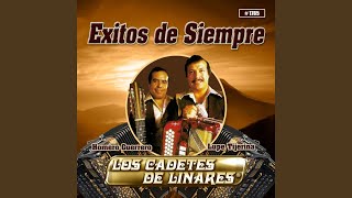 El Cachas De Oro