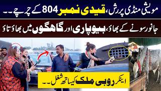 Eid Ul Adha &amp; Cattle Market | Qadi No 804 Video Viral | Fun with Anchor Ruby Malik | Bakra Eid | DP