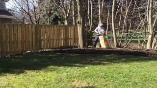 Spring Cleanup