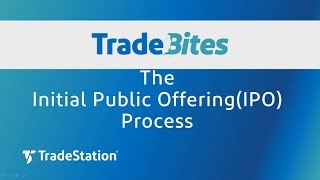 The Initial Public Offering (IPO) Process