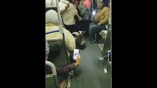 Goat on a Bus || ViralHog