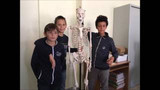 Piccoli Scienziati Crescono Ad Acerno