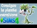 Cómo conseguir la planta carnívora (vaca-planta) | LOS SIMS 4 #34