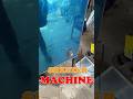 "“Samosa, Papad, Khakhra – Ab Sabka Perfect Sheet Ek Hi Machine Se!”#sheetermachine #foodautomation"