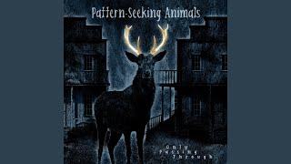 Miniatura de vídeo de "Pattern-Seeking Animals - Time Has a Way"