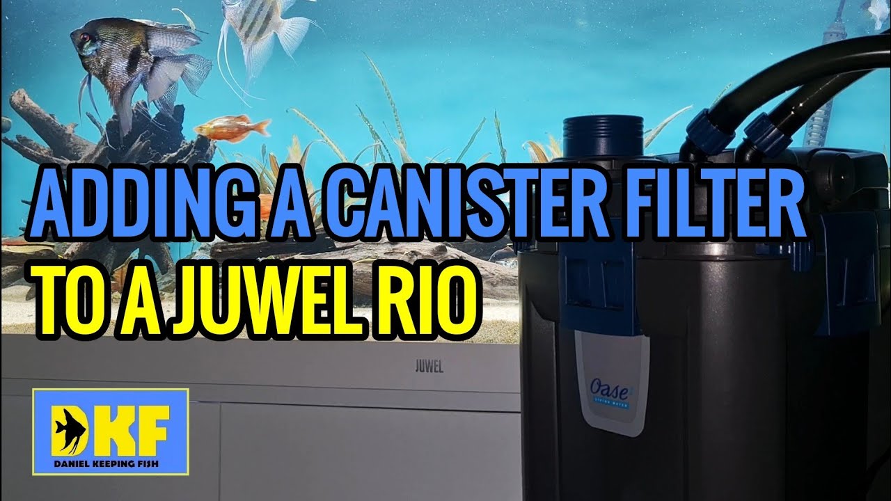 ADDING A CANISTER FILTER TO A JUWEL RIO AQUARIUM 