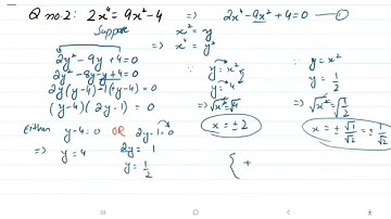 Exercise 1.3-Class 10 Math|Complete exercise 1.3 Class 10 Math|Equations reducible to Quadratic form