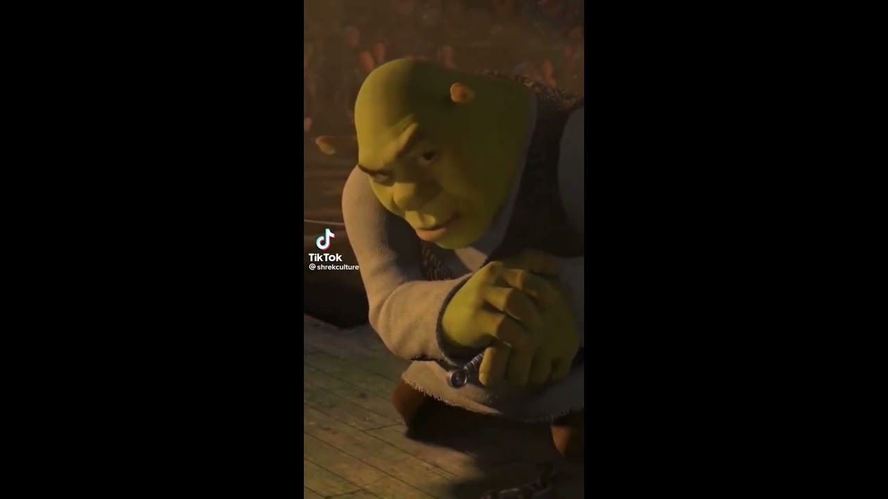 Shrek Lightskin Stare Meme Memes Funny Youlaughyoulose Lowquality
