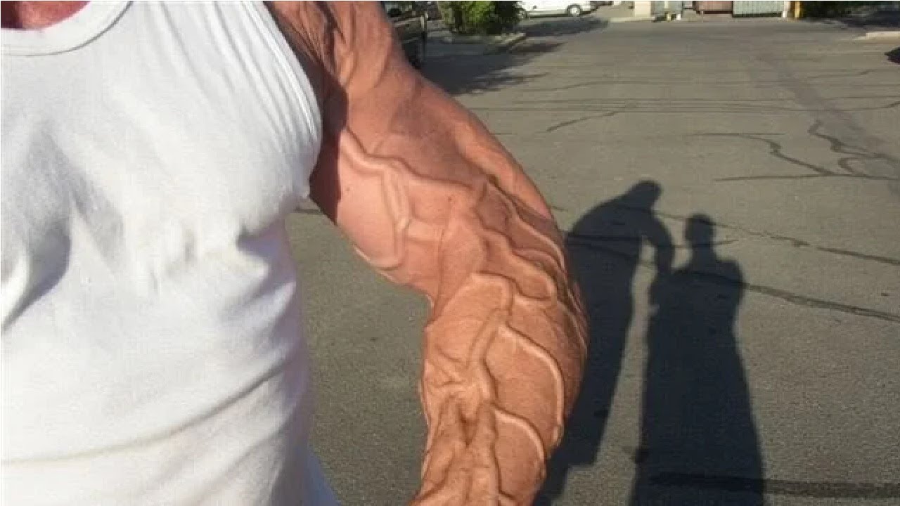 How To Get Veins To Pop Out For Beginners YouTube How To Get Veins To Pop Out For Beginners YouTube