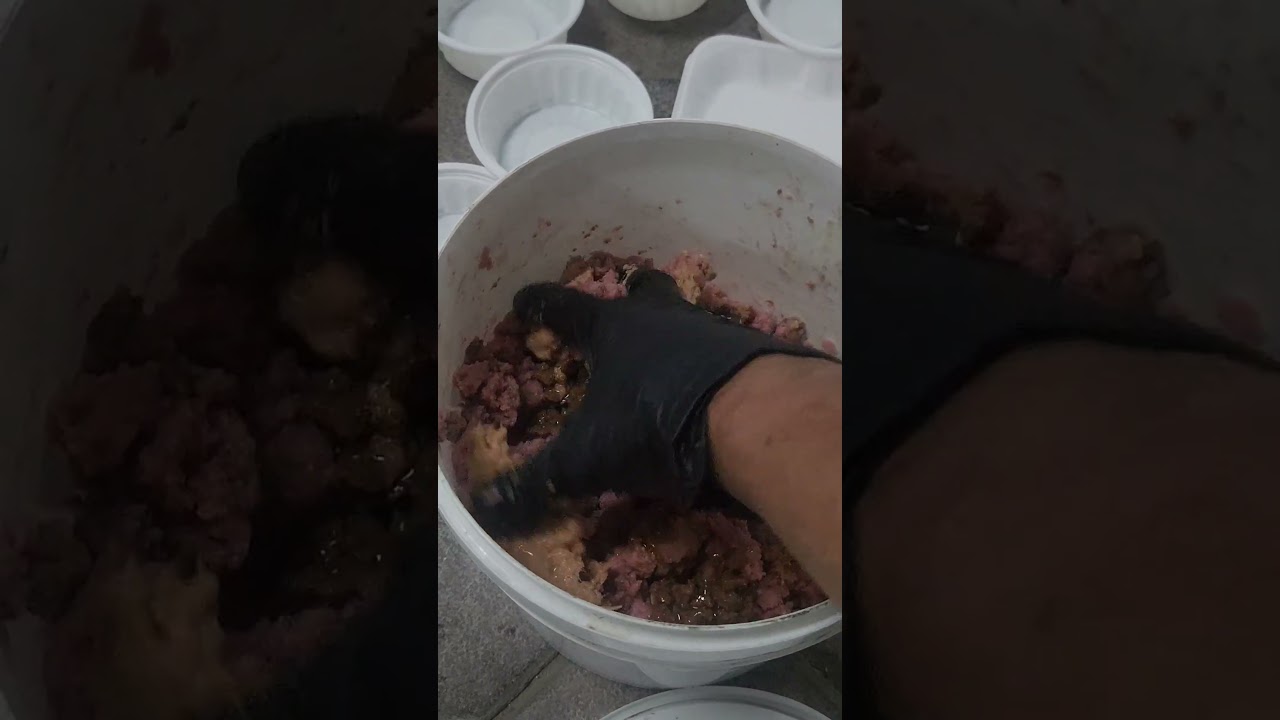 ه عطفك حياة لروح عطشانة وجائعة YouT kindness is life for a hungry and thirsty soul #cat