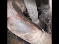 2017 Vauxhall / opel oil leaking from vvt solenoid