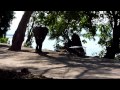 Close Elephant Encounter at Mana Pools.