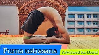 ❗advanced backbend training ❗ Purna ustrasana | full camel pose