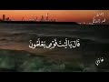 قيل ادخل الجنة قال ياليت قومي يعلمون محمد البراك