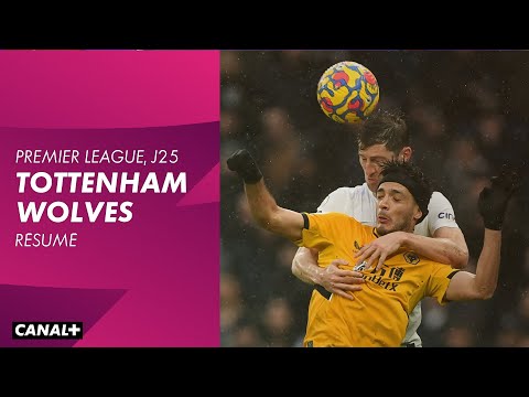 Le résumé de Tottenham / Wolverhampton - Premier League (J25)