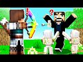 Random CUSTOM ARROWS in Minecraft UHC!