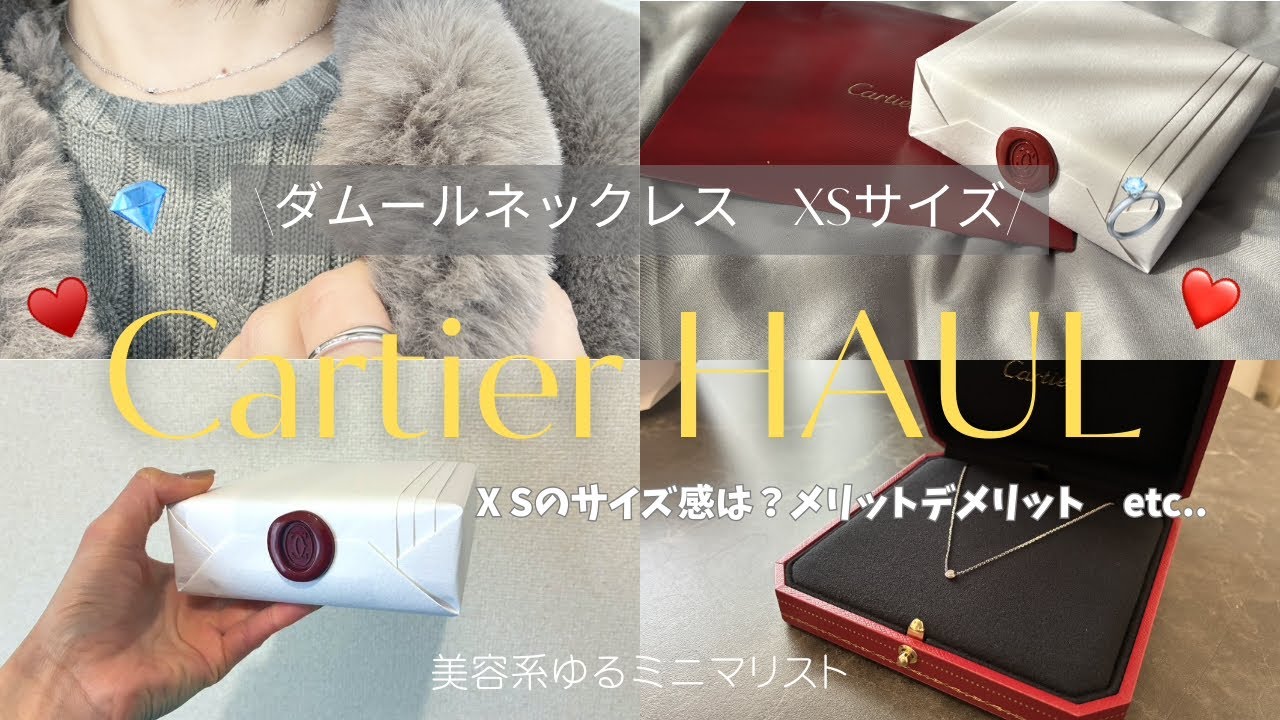 Casual Minimalist] Cartier Damour Necklace XS Size Purchase