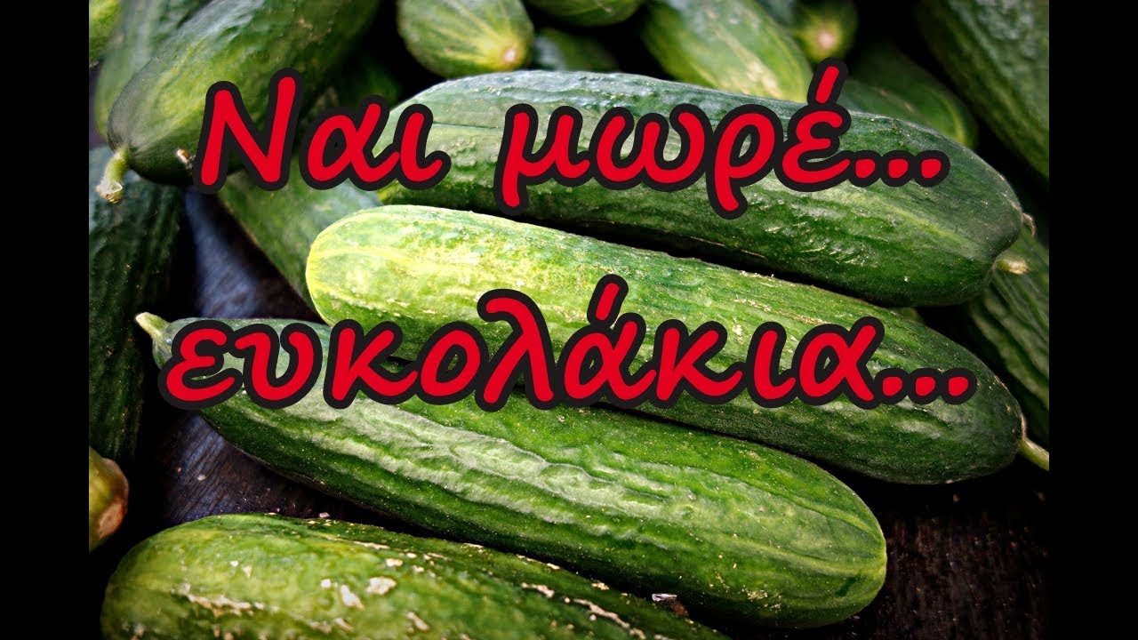 Πανελλήνιες 2019 - Λύσεις, σχόλια, μοριοδότηση (εκτιμήσεις)