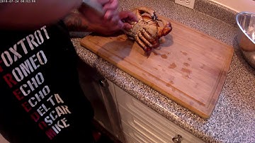 Cleaning our hand caught Red Rock Crab