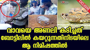 Exclusive | That moment when Vava Suresh got bitten by the Viper | Kaumudy