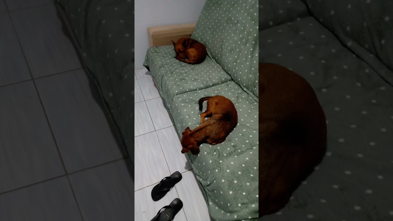 caramelos mais amados