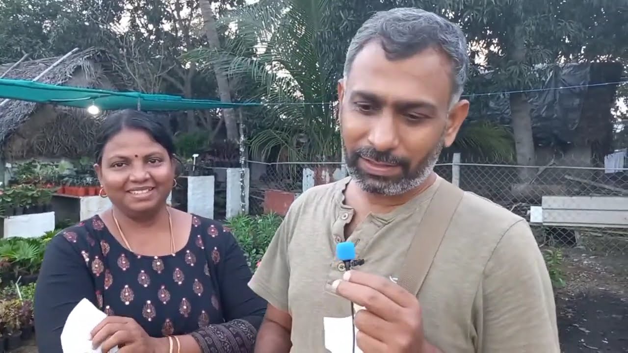 Roof top garden,Landscaping specialist/Iyarkai garden plants from 20