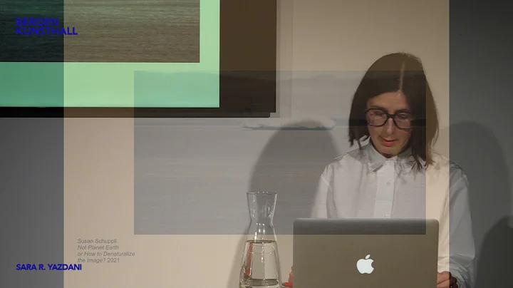 Plattform: Sara R. Yazdani - Ice, Video Sensibility, and the Weather