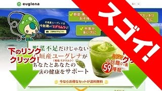 ユーグレナ ファームは「石垣島産・ミドリムシ」入り健康ドリンク