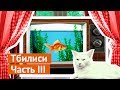 Грузия, Тбилиси: коты и современная архитектура