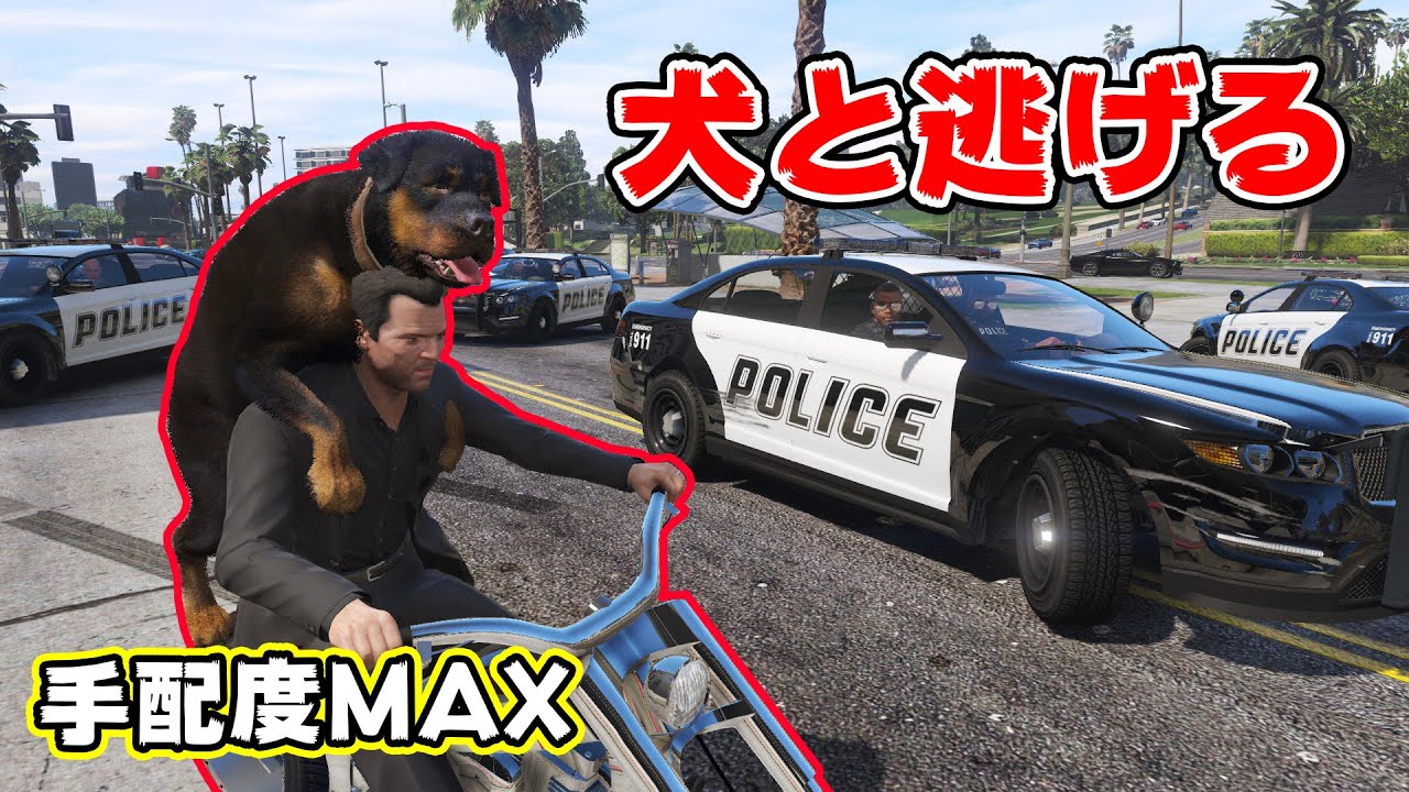 Gta5 チョップと二人乗りで警察から逃げる Video Analysis Report Gta5 チョップと二人乗りで警察から逃げる Video Analysis Report