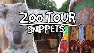 Koalas in the Netherlands?! Checking out Koalia! | Zoo Tour Snippets ✂