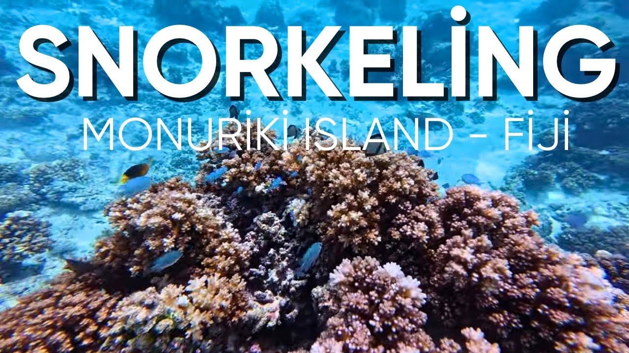 What Snorkeling at Monuriki Island Fiji looks like