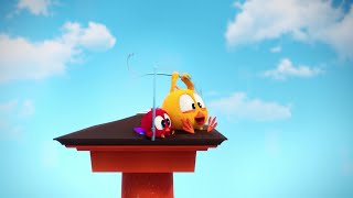 Wheres Chicky? New Season Learn To Fish Cartoon In English For Kids New Episodes