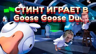 СТИНТ ИГРАЕТ В Goose Goose Duck