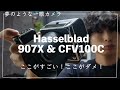 【Hasselblad 907X CFV100C】中判デジタルカメラの描写力が凄すぎた!ハッセルブラッドの作例紹介しながら良い点悪い点レビュー