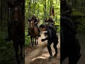 Run from Death, Saved in an Unexpected Place